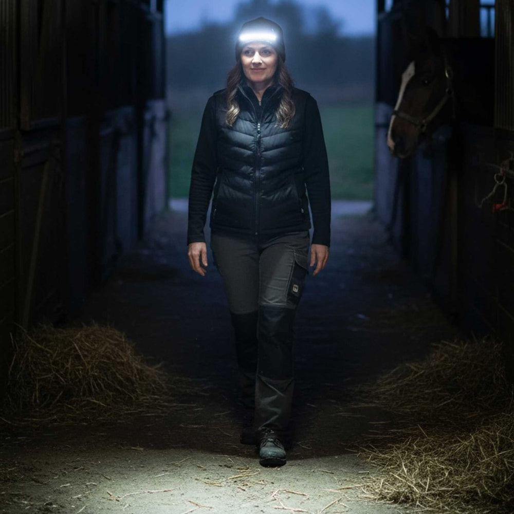 Halolight